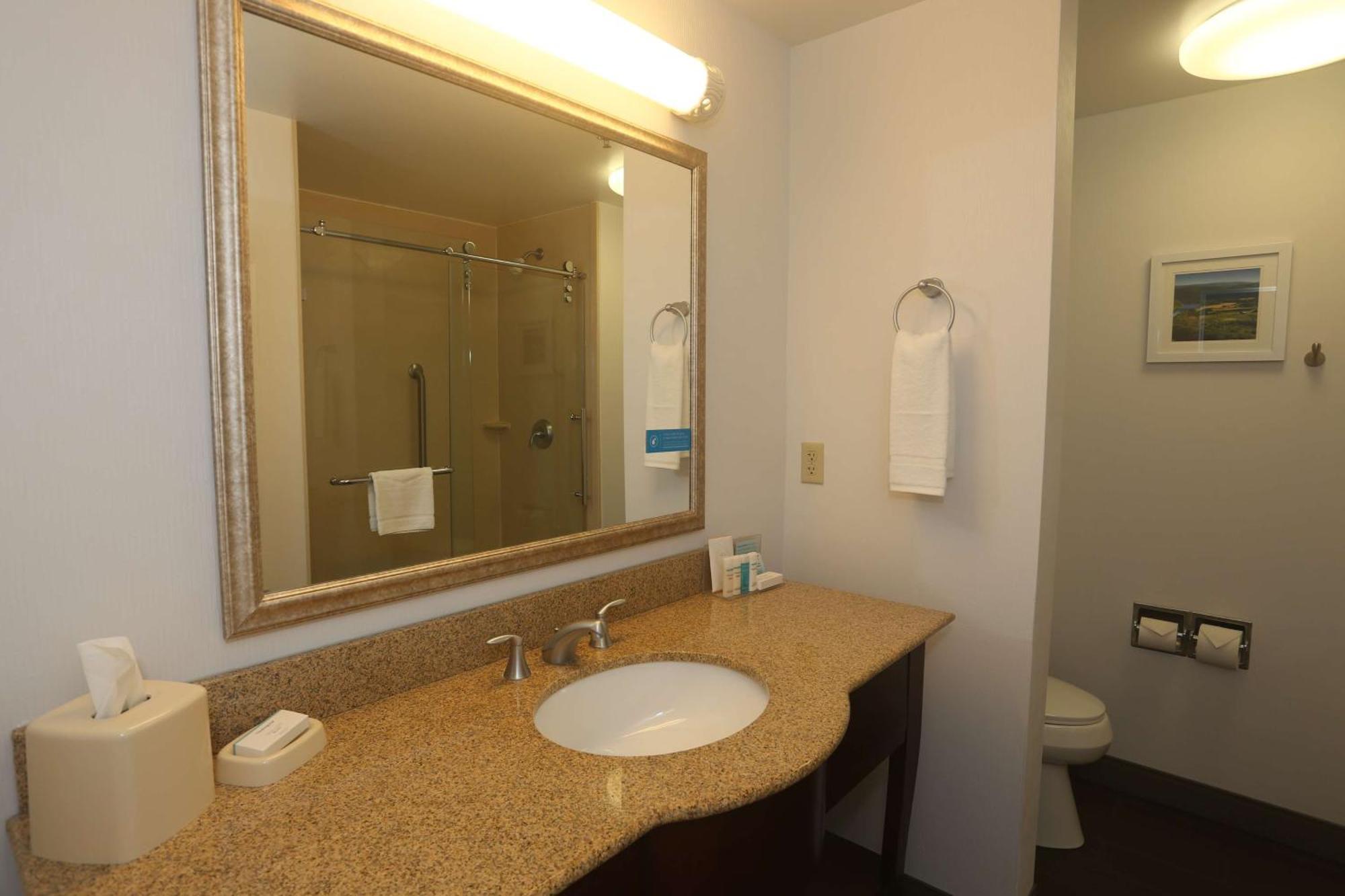 Hampton Inn Owego Dış mekan fotoğraf